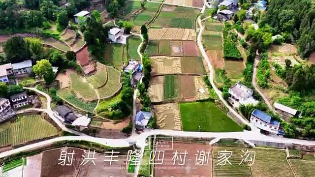 四川射洪金华丰隆四村谢家沟