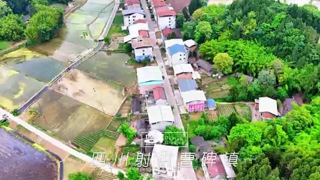 四川射洪曹碑镇
