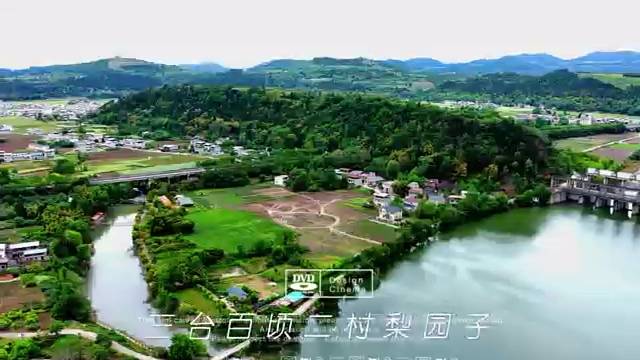 四川三台百顷二村梨园子