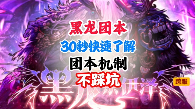 30秒带你快速了解黑龙团本机制 #DNF手游二周年庆发布会 #DNF手游二周年庆 #DNF手游