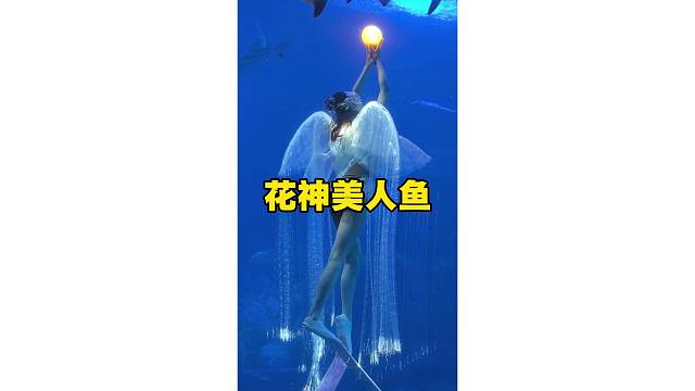 花神美人鱼