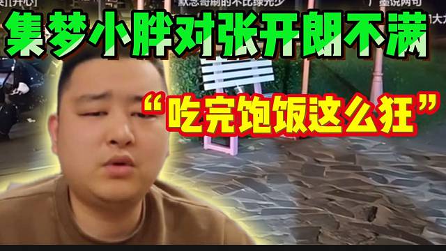 集梦小胖回应张开朗骂“集梦元老”！“吃几天饱饭就这么狂”！