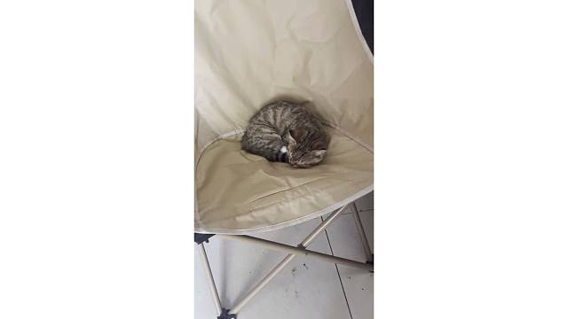 霸座