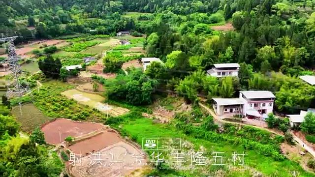 四川射洪金华丰隆五村