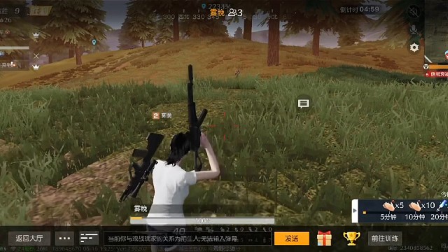决赛圈战斗
