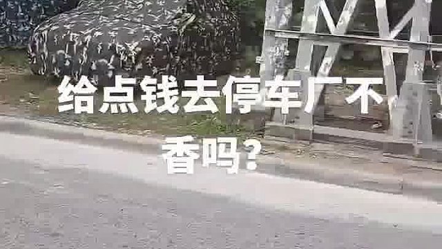 这下完犊子了嘛！进去出不来了！给点钱去停车场不香吗？
