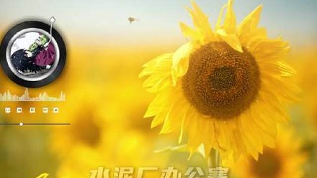 ⅠⅠ 暴君の哲学:何谓塞