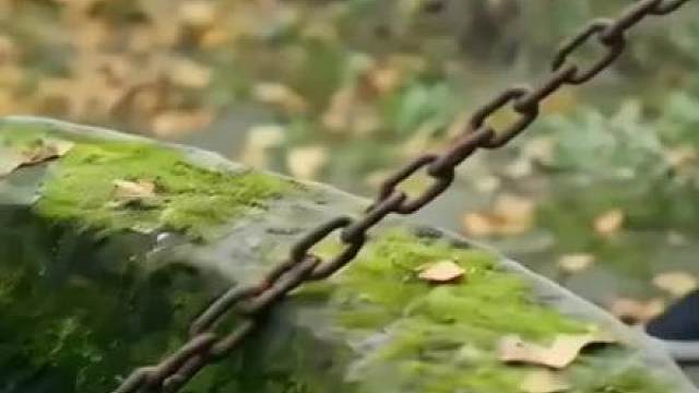 打工仔误入锁龙井，融合龙珠觉醒控水异能，逆袭登顶坐拥豪门产业