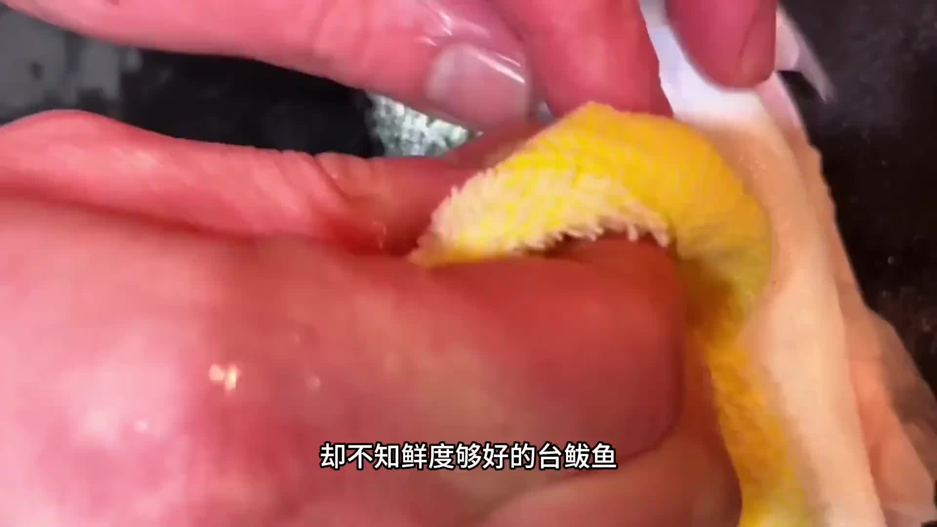 鲐鲅鱼被快速的掰晕，然后趁鲜做成刺身才是真正的鲜美。