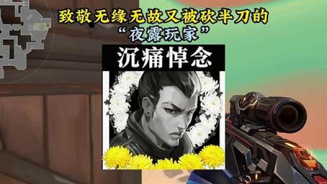 此视频致敬无辜躺枪的夜露玩家