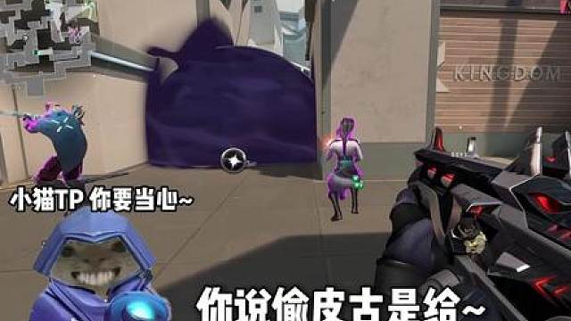 谁能拒绝可爱的幽影猫猫