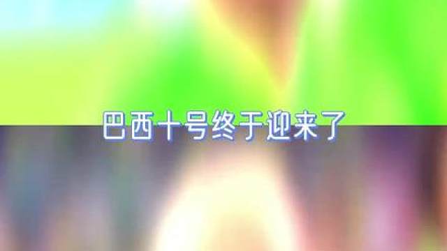 巴西十号终于迎来了真正的主人