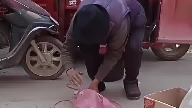 狗：我报警了