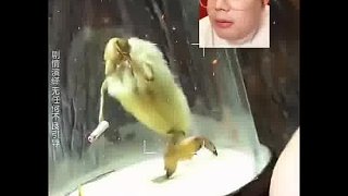 那么問題來了 這是啥呀？