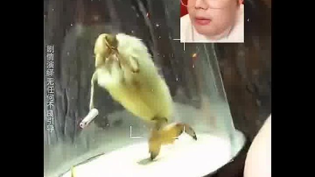 那么问题来了 这是啥呀？