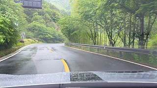 竹子開車三分鐘鬧笑話