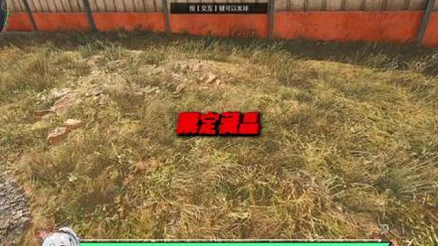盘点三角洲所有限定收藏品，你觉得最稀有的是哪一个？