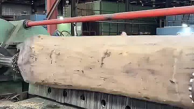 切实木原皮，你见过吗？