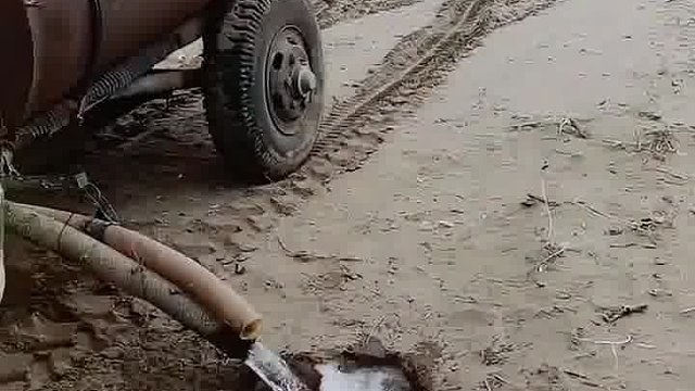 水罐大眼贼