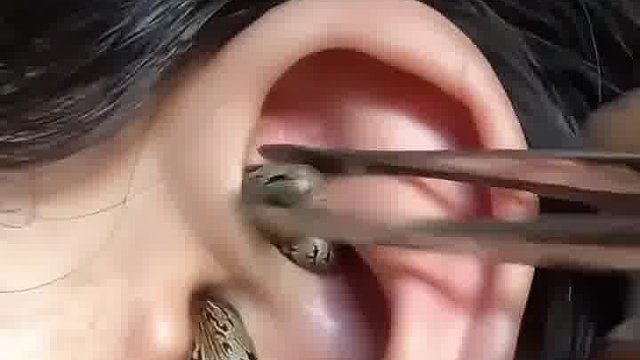 钻草堆里去了吧！