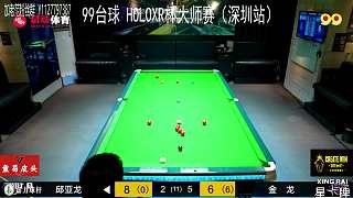 臺球職業(yè)擊球精彩瞬間