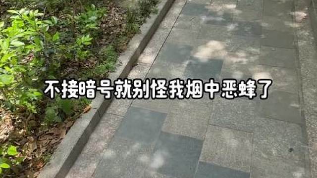 无所畏惧