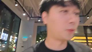 街頭人群撫摸小白狗歡笑互動