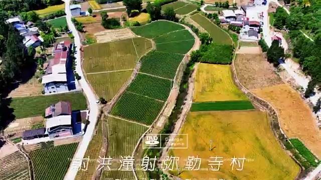 四川射洪潼射弥勒寺村高家沟