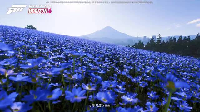 地平线6