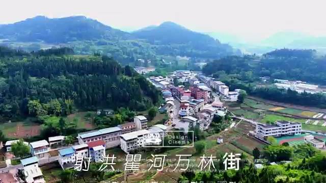 四川射洪瞿河万林街