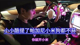 小小酷提了帕加尼小米狗都不開