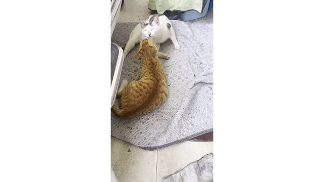秀一脸