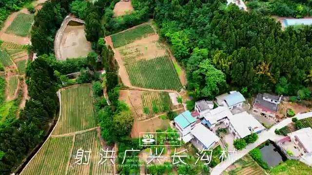 四川射洪广兴镇长沟村