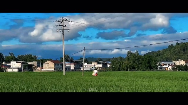 人生感悟