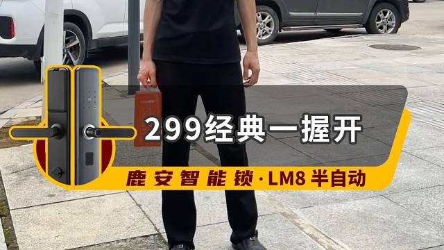 咸宁市赤壁市智能锁哪个品牌好 #鹿安智能锁 #家用智能锁指纹锁 #智能家居 #赤壁市智能锁 #赤壁市