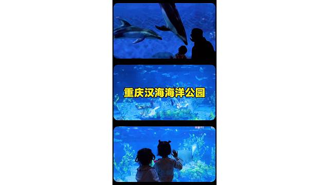 周末亲子时光，奔赴蓝色海洋奇遇