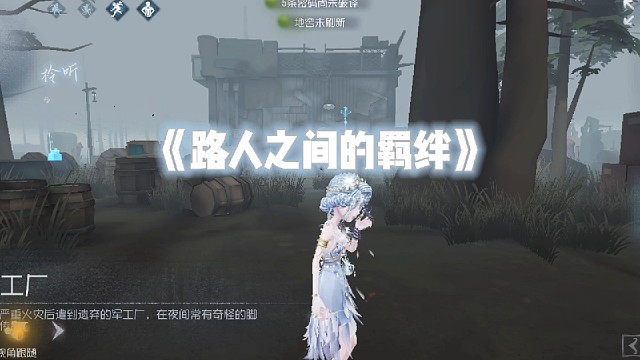 槐柃