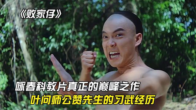 《败家仔》 香港经典动作片，叶问祖师爷的习武经历
