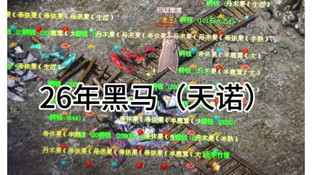 26年黑马（天诺）