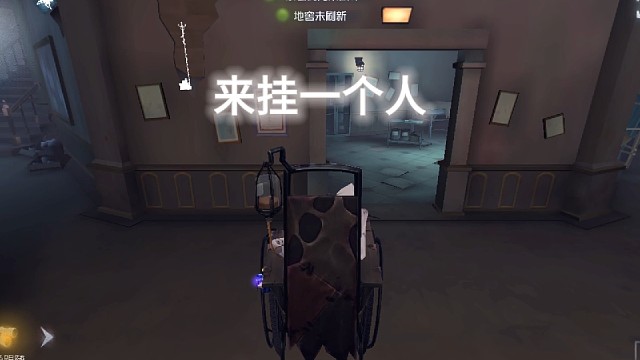 槐柃