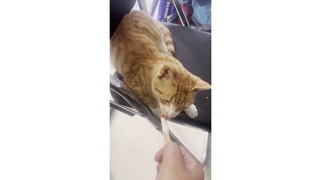 温柔