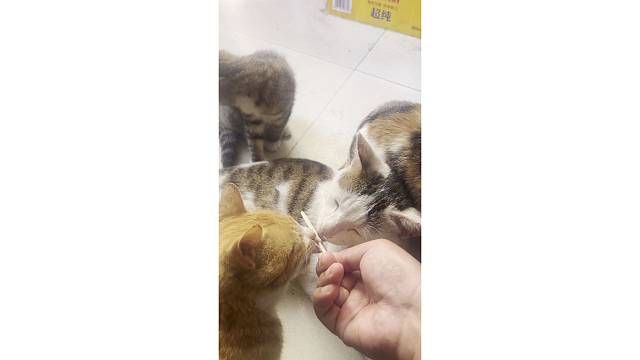 美了美了