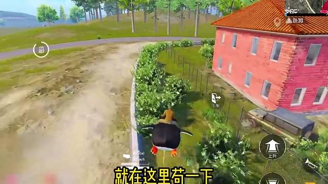 【妻九】苟进决赛圈如何吃鸡