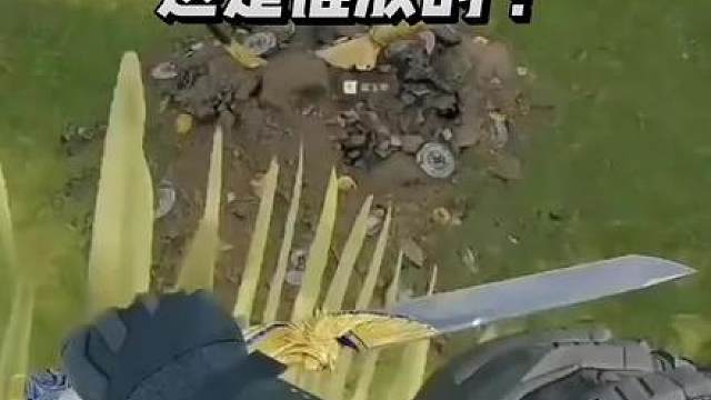 三角洲行动 ？谁家好人放的