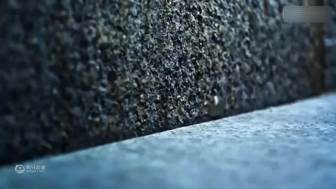 这运气是积了几辈子德