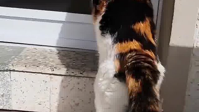 就这么完美的错过了
