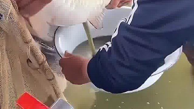 这接的啥玩意？很珍贵的样子
