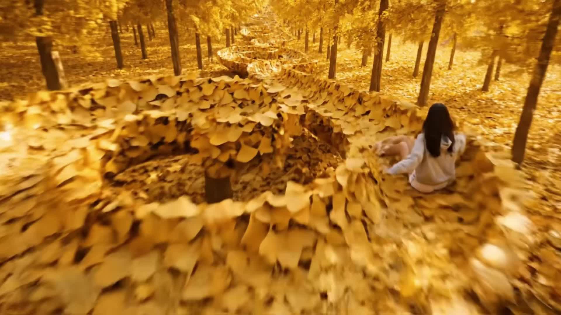 沉侵式体验各种紧张刺激滑梯