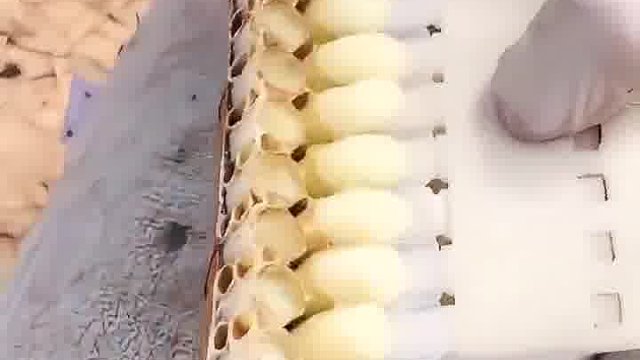 一勺一分钱，挖浆工赚大了！
