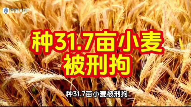 这一案例非常有警示意义，不仅是个案的法律制裁，更是对当前土地管理法规、生态保护红线以及新旧司法解释衔